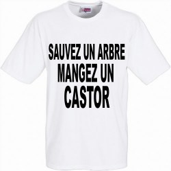 castor-blanc